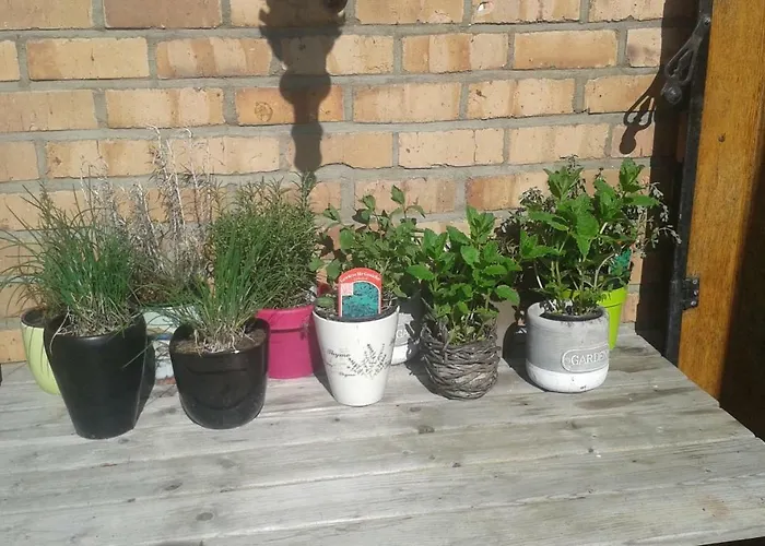 Lumina Nocleg ze śniadaniem 4*