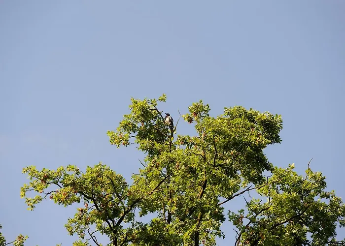 Bed & Breakfast Lumina